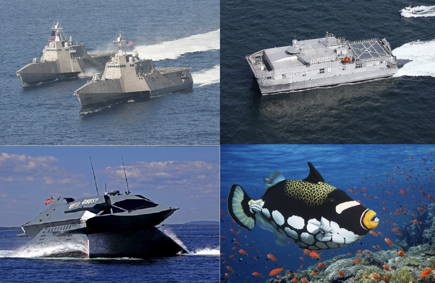 GDMS Surface and Undersea Engineering